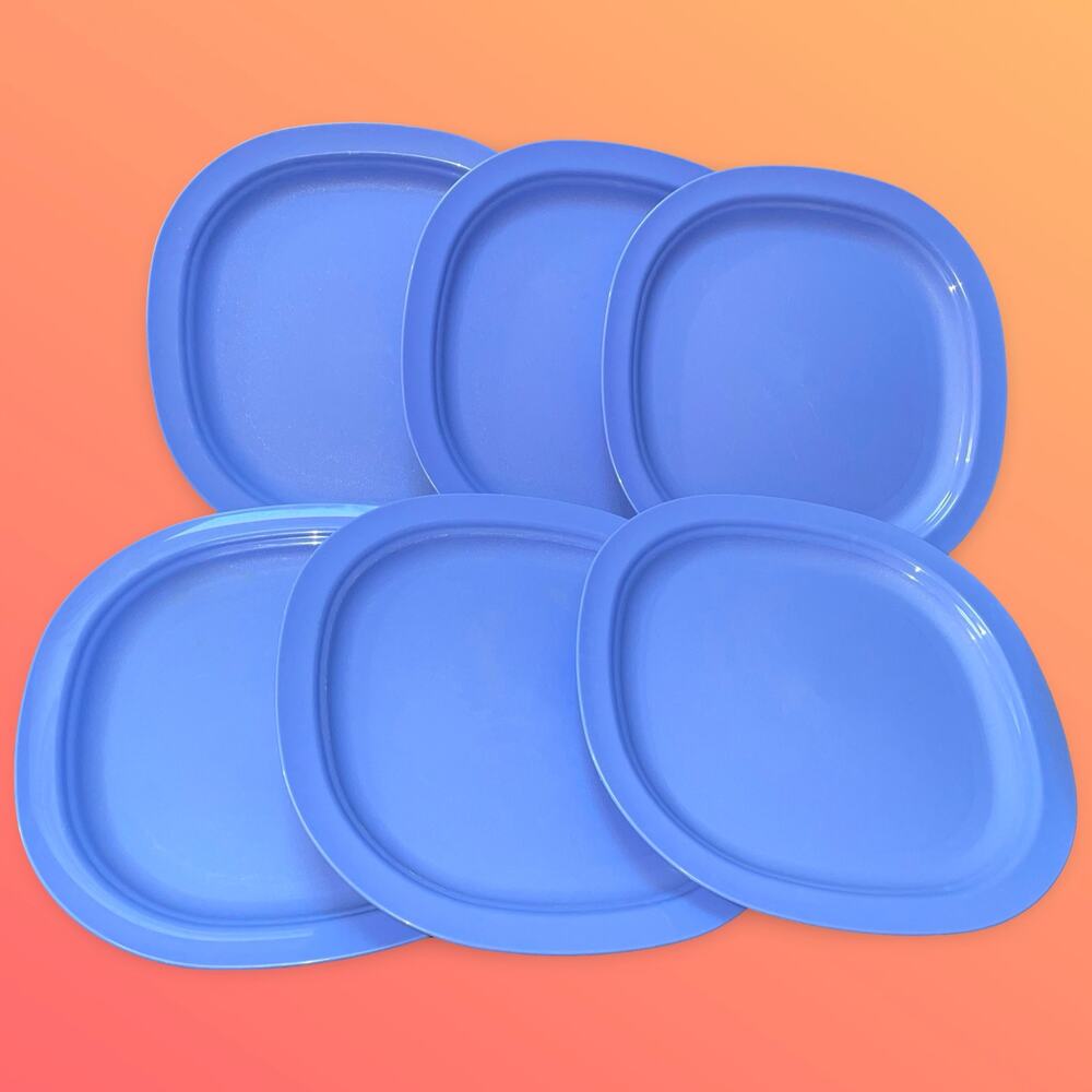 Tupperware 3398B Luncheon Plates Set of 6 Blue 9.5" Microwave Reheatable